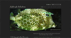 Desktop Screenshot of hydrocyte.com